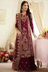 Dilnaz Wedding Formal ’25 – DN-07 Aleena | Luxury Bridal & Formal Dress - Z-1396